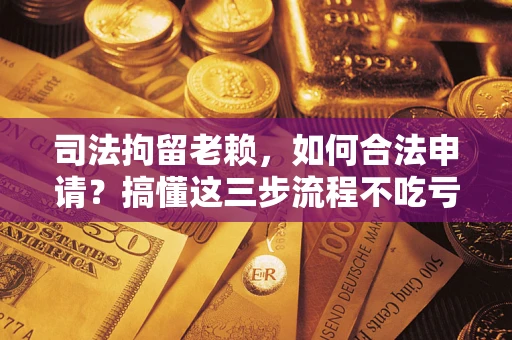 北京司法拘留老赖，如何合法申请？搞懂这三步流程不吃亏！