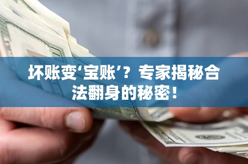 北京坏账变‘宝账’？专家揭秘合法翻身的秘密！