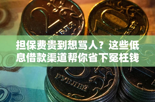 北京担保费贵到想骂人？这些低息借款渠道帮你省下冤枉钱