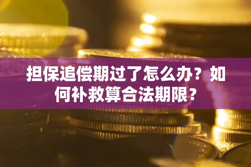 北京担保追偿期过了怎么办？如何补救算合法期限？
