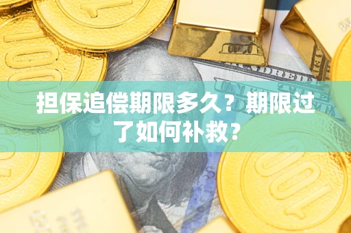 北京担保追偿期限多久？期限过了如何补救？