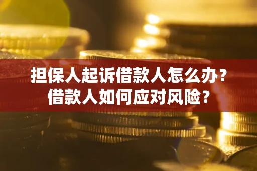 北京担保人起诉借款人怎么办？借款人如何应对风险？