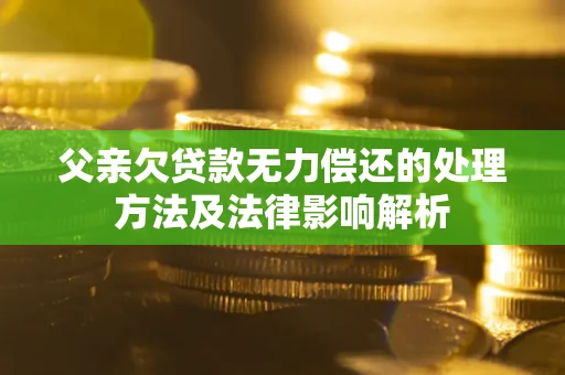 北京父亲欠贷款无力偿还的处理方法及法律影响解析