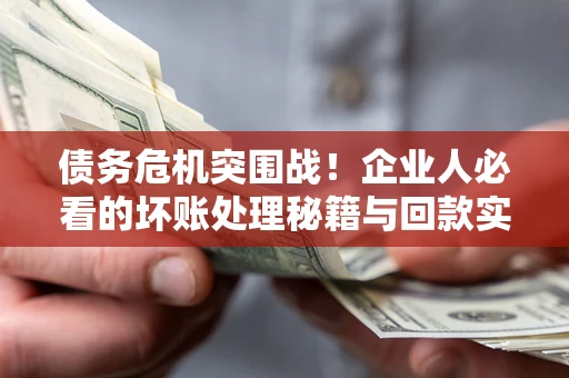北京债务危机突围战！企业人必看的坏账处理秘籍与回款实战指南